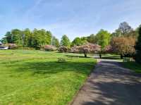 Anwick Castle and Garden 