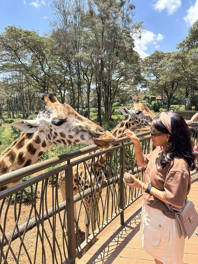 How to spend 5 days in Nairobi