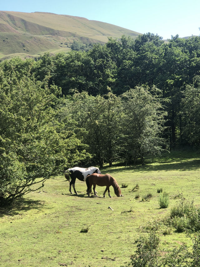 Been to Peaks at Peak district !