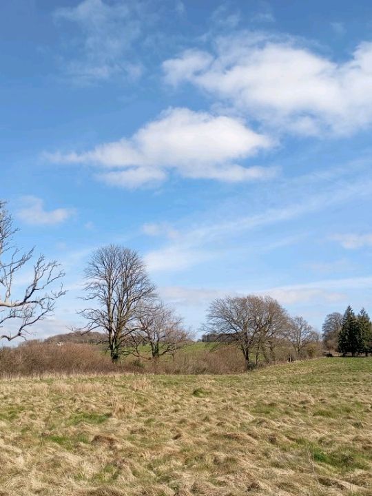 The National Botanic gardens of Wales