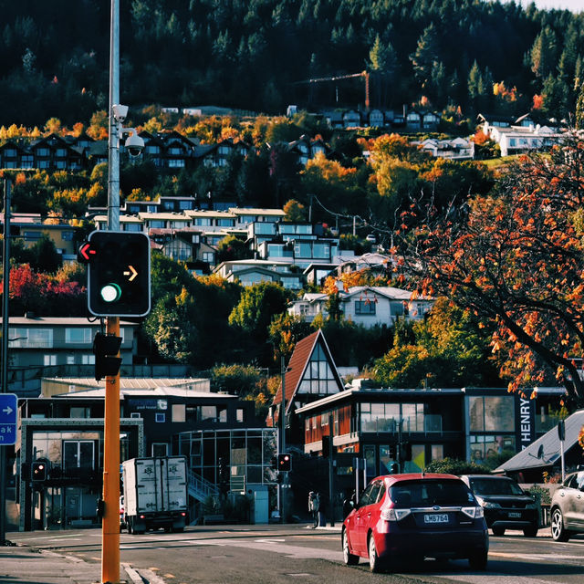 Cruising Through Middle-earth: New Zealand by Sea