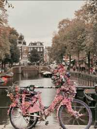 🚲 Cycling the Canals: Amsterdam's Budget-Friendly Charm