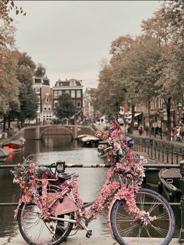 🚲 Cycling the Canals: Amsterdam's Budget-Friendly Charm