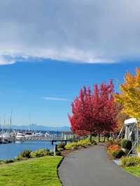 A Perfect Day in Seattle