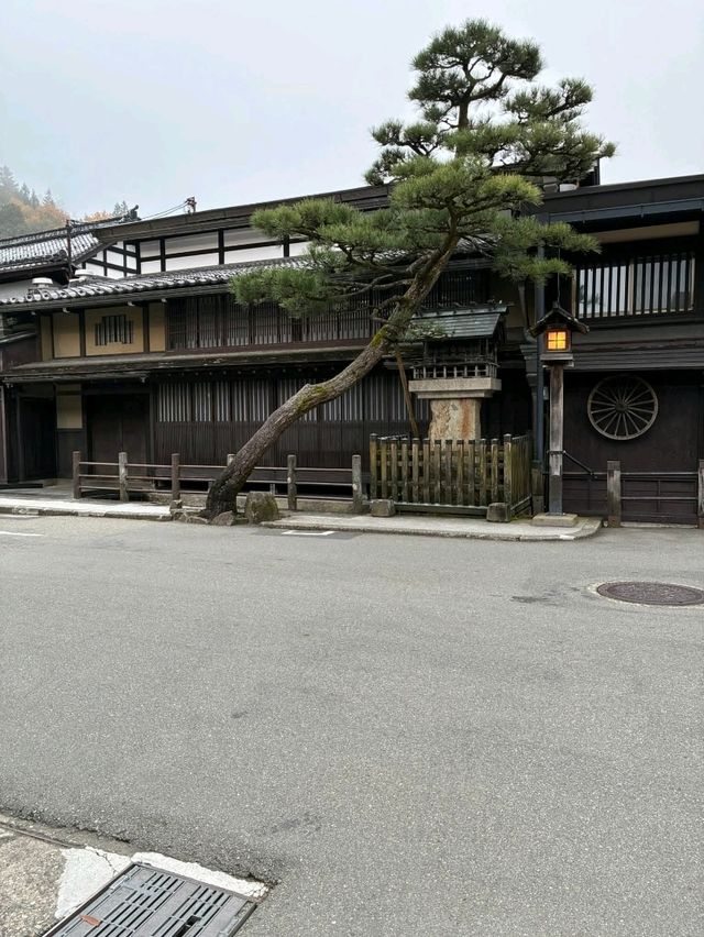 Architectural Dream🏯 Architectural Dream🏯