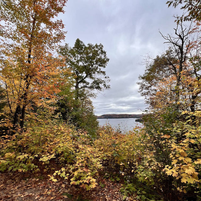Algonquin Provincial Park