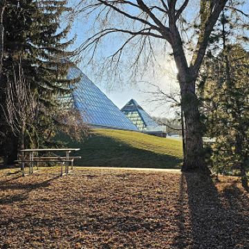 穆塔特音樂學院