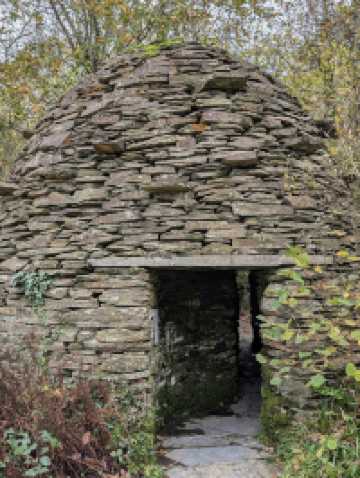 A gentle seasonal introduction to wonder 🍁✨