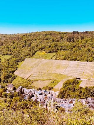 Where Warm Hearts Meet Great Flavors: Traben-Trarbach, Germany 🇩🇪