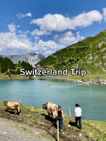 Вдоль кристально чистых альпийских ручьев