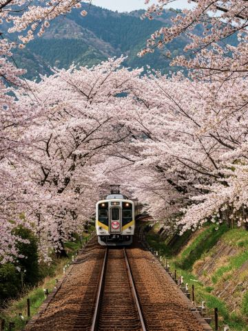 2026 港の見える丘公園 | 横浜観光スポットの観光ガイドと旅行体験