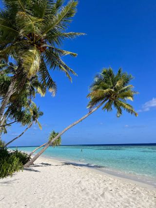 🌴 Rashdhoo: A Little Island Paradise in the Maldives 🐠✨