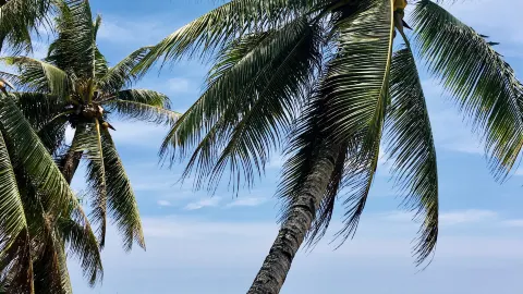 Fun and inexpensive Bohol Island in the Philippines — traveler post in Anda
