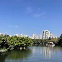  A stunning park in the heart of Shenzhen