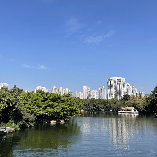  A stunning park in the heart of Shenzhen