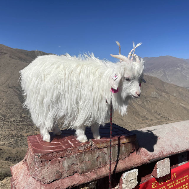 西藏之旅 - 羊卓雍錯｜一顆仙女散落的藍色吊墜靜躺山南