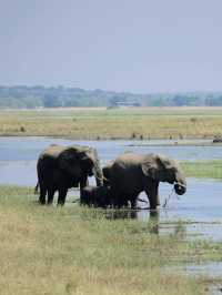 A True Natural Wonder in Africa