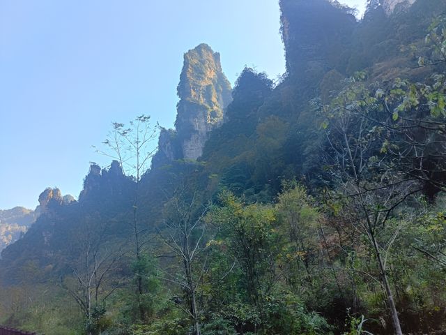 張家界之森林公園（袁家界楊家界天子山十里畫廊金鞭溪）