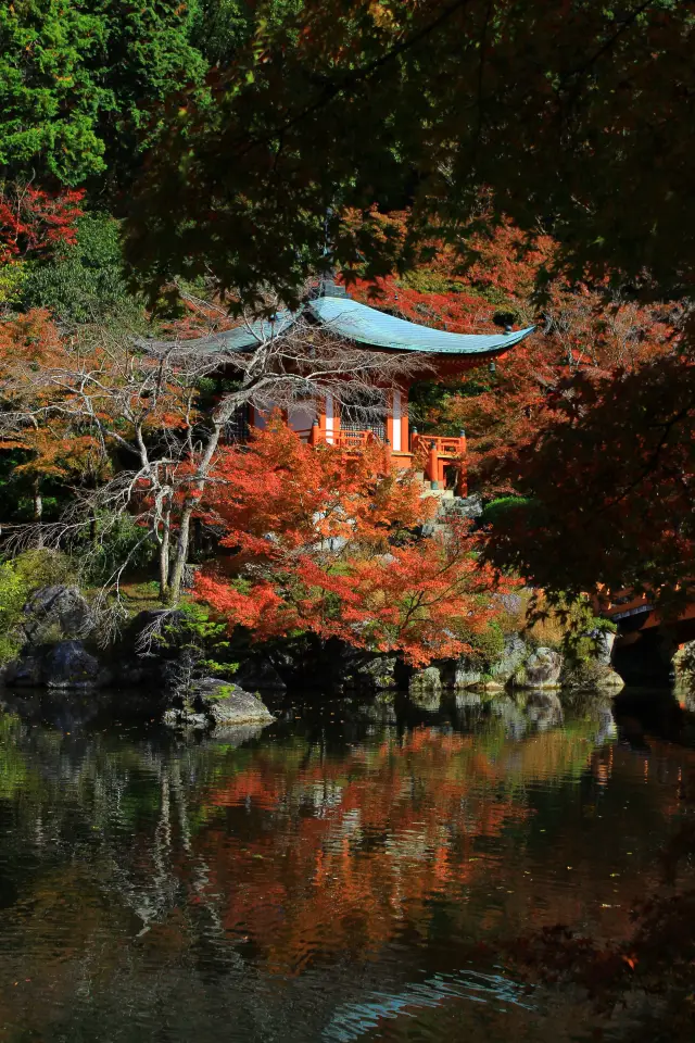 京都紅葉季|醍醐寺