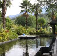 Conghua - The Home of Relaxation 