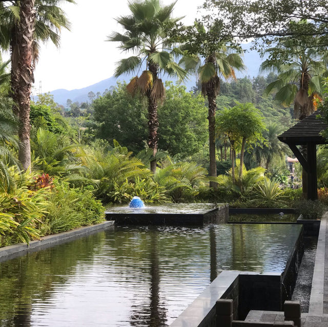 Conghua - The Home of Relaxation 