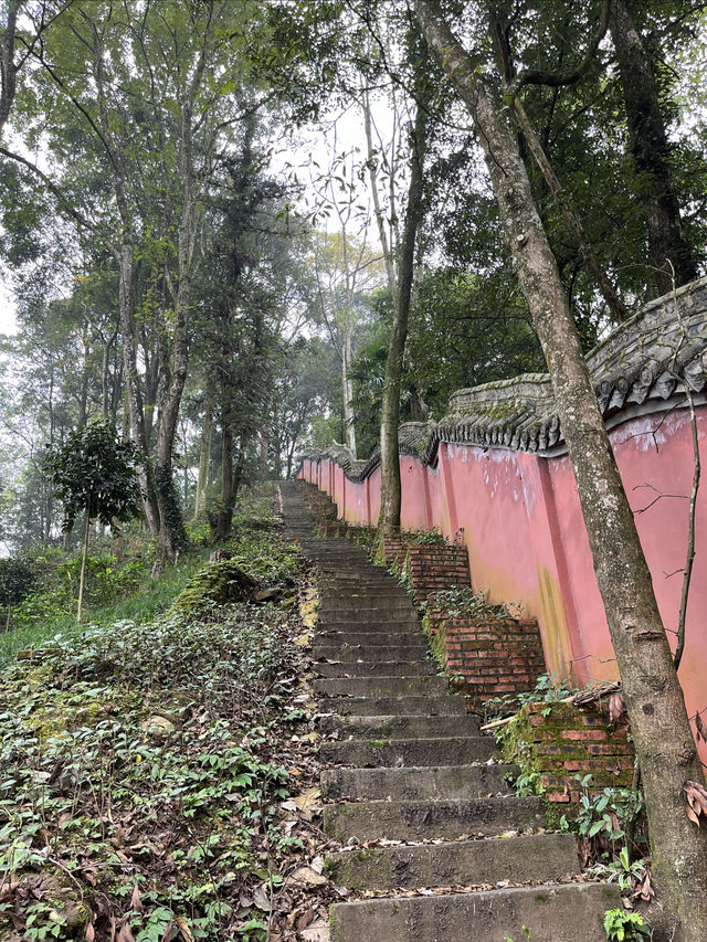 青城後山泰安古寺