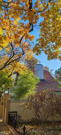 青島八大關異國建築群在色彩斑斕的閃爍下更加奪目迷人