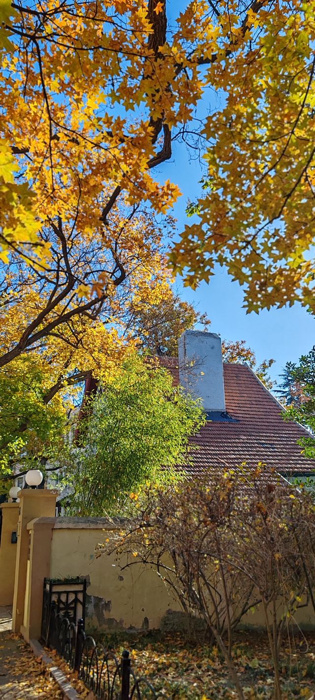 青島八大關異國建築群在色彩斑斕的閃爍下更加奪目迷人 青島八大關異國建築群在色彩斑斕的閃爍下更加奪目迷人