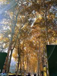 武漢的秋天很短 | 秋天的裡解放公園