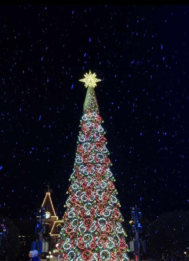 香港迪士尼聖誕樹太美了，詳細版攻略
