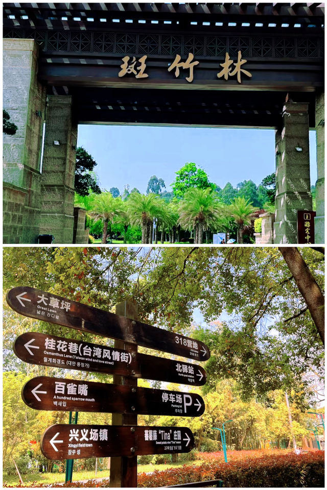 成都|新津·斑竹林樹樹皆秋色