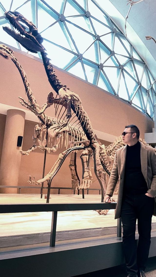帶上老公去逛上海自然博物館～每個恐龍迷的樂園