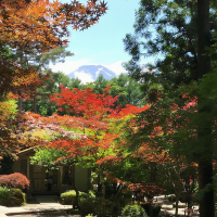 Traditional Ryokan + Mt.Fuji = Perfection