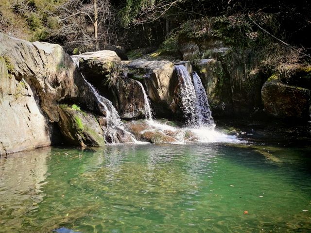 江西廬山,不識廬山真面目,只緣身在此山中
