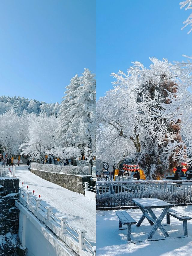 “廬山雪景”聽起來是不是很美？