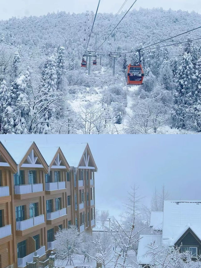 成都周邊遊|抓住冬日的尾巴，去看場雪吧