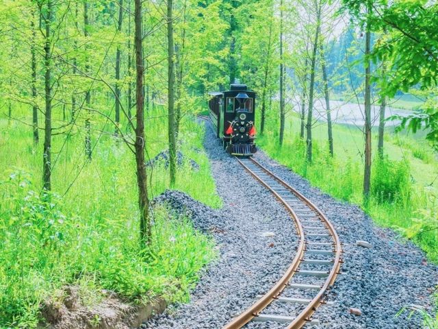 黃海森林公園探秘之旅，你敢來嗎？