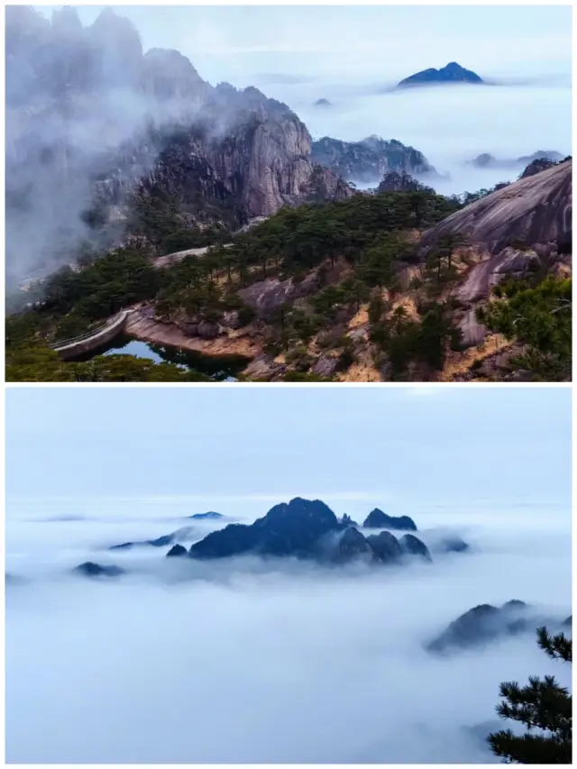 去了黃山才知道，水墨畫還是太保守了