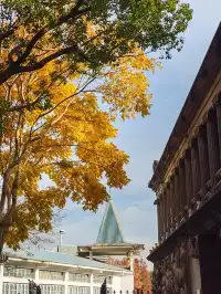 這個秋天，來一趟無錫最有氛圍感的公園吧！