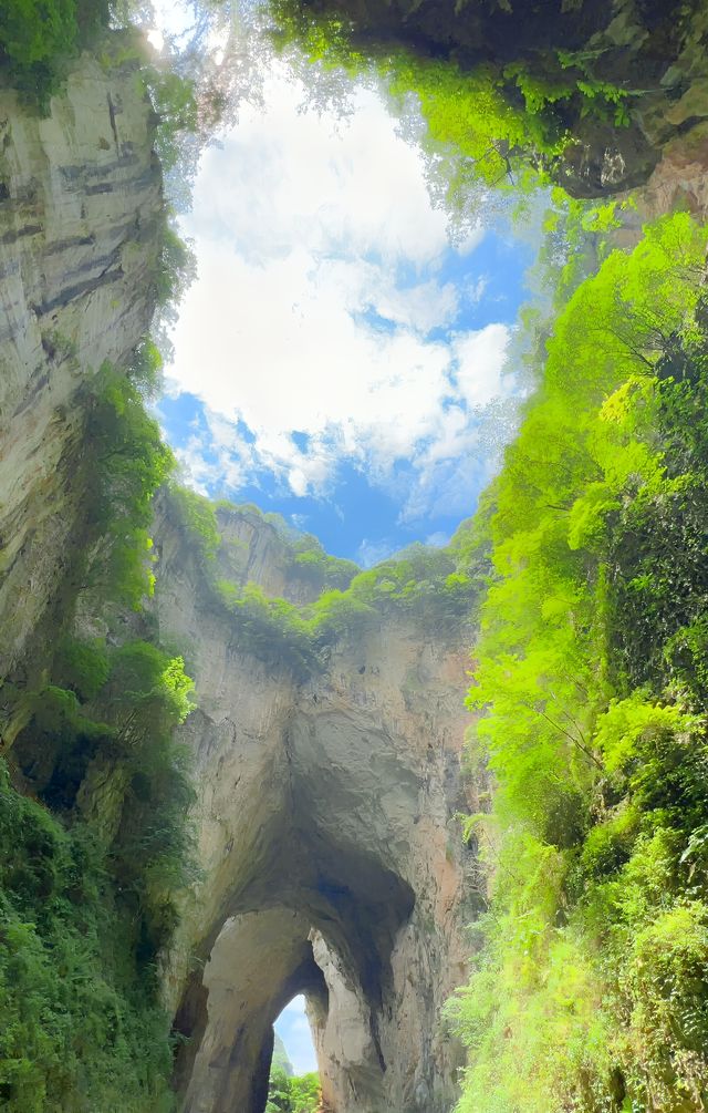 似洞非洞真奇秀，鐘靈毓秀九洞天