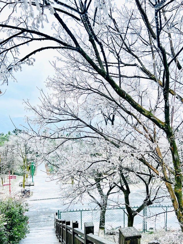 江南天池滑雪場 |超寶藏滑雪地