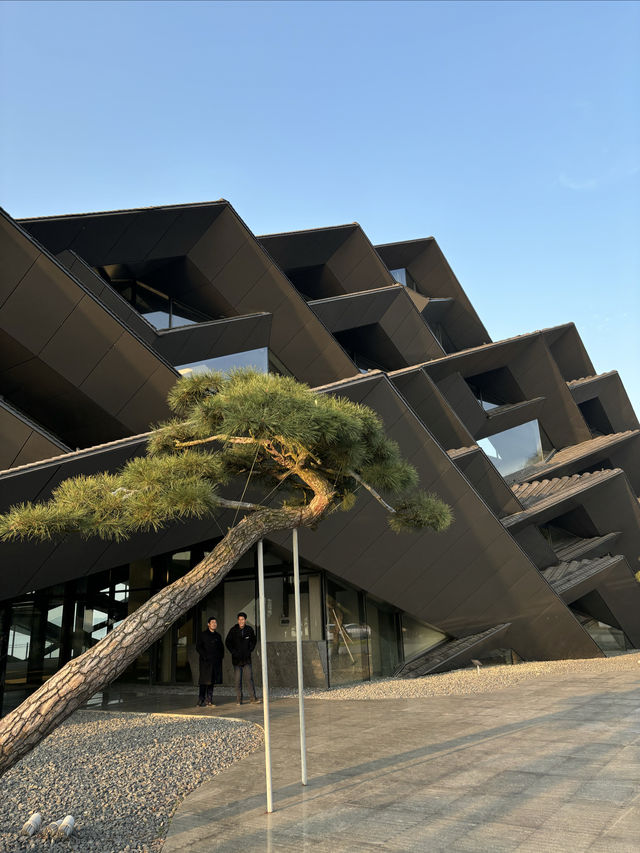 韓嶺美術館|寧波東錢湖打卡新地標 韓嶺美術館|寧波東錢湖打卡新地標