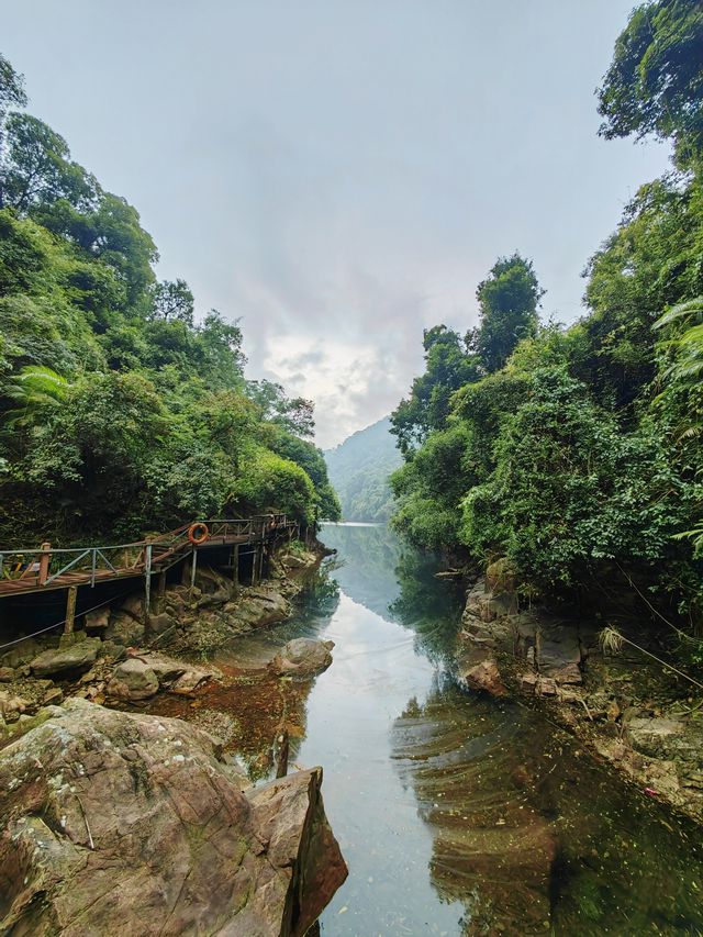 鼎湖山