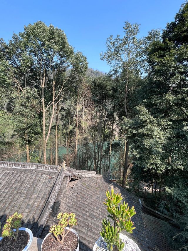 【成都1小時】天然氧吧，太美了！