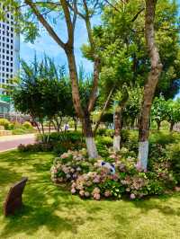 四川成都｜成華二仙橋公園｜去遊玩
