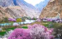 去新疆旅遊，選擇幾月份最合適？