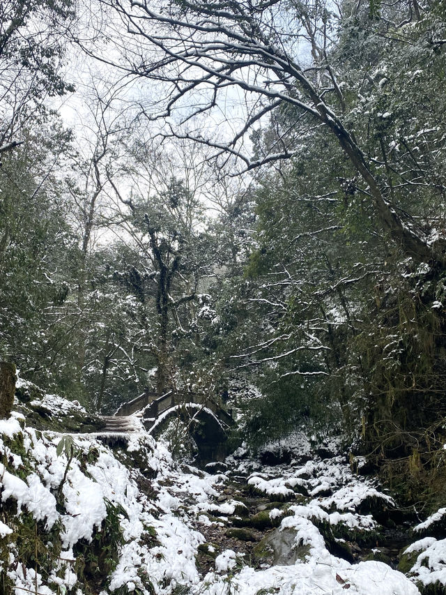 在融化之前，再去青城後山看看雪吧（附攻略