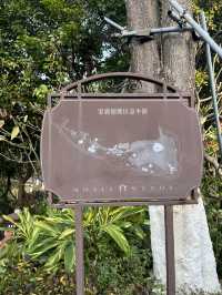 城市公園圖鑑｜廈門島內99％不知道的小眾秘境無濾鏡超美！