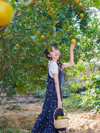 Let's share the joy of fruit picking in the less-traveled areas around Quanzhou, Fujian!