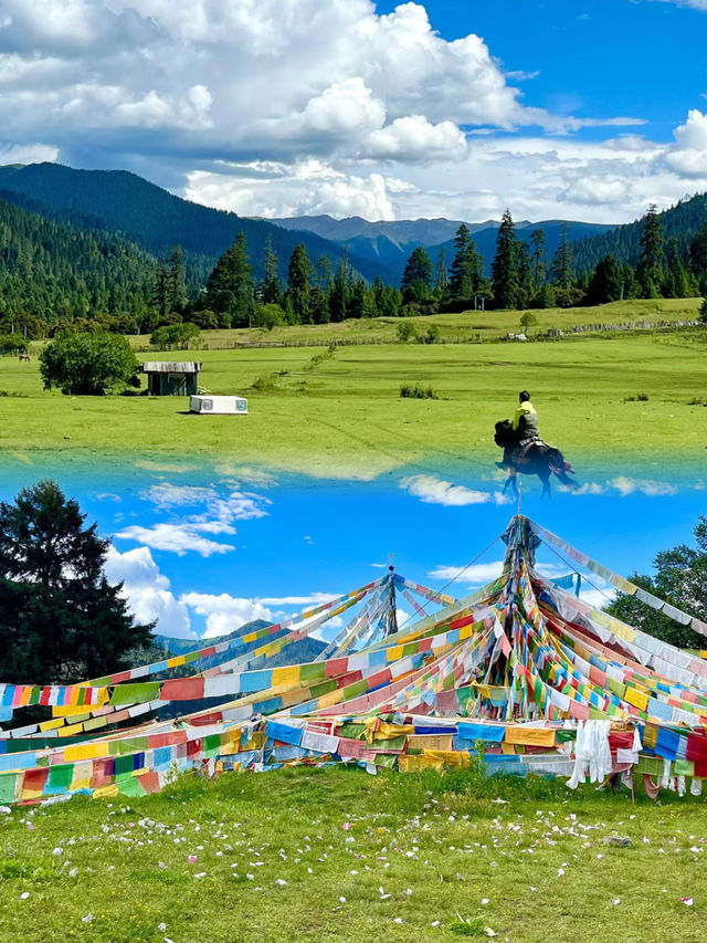 在西藏遇到比肩瑞士的童話田園